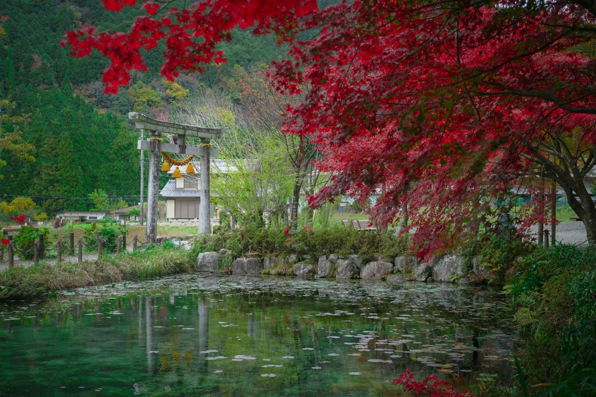 Japanese Gardens