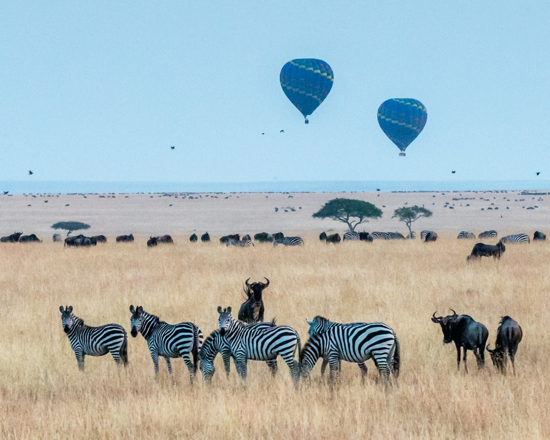 Kenya: Where Wild Meets Wonderful background